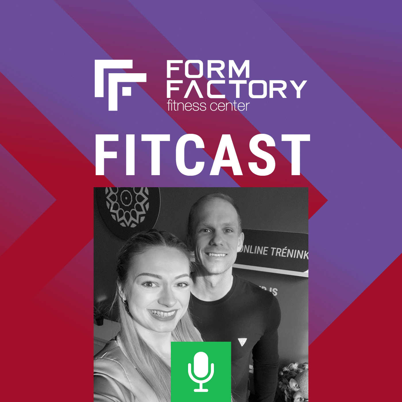 Form Factory FITCAST